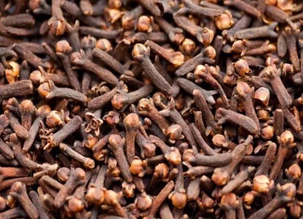 நோய் எதிர்ப்பு ஆற்றலை அதிகரிக்கச் செய்யும் கிராம்பு!