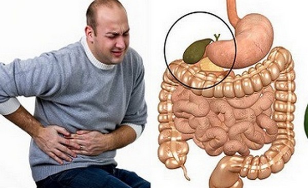 பித்தப்பை கற்களை கரைக்கும் நெருஞ்சில் ...... மருத்துவ பயன்கள் பற்றி அறியலாம்!