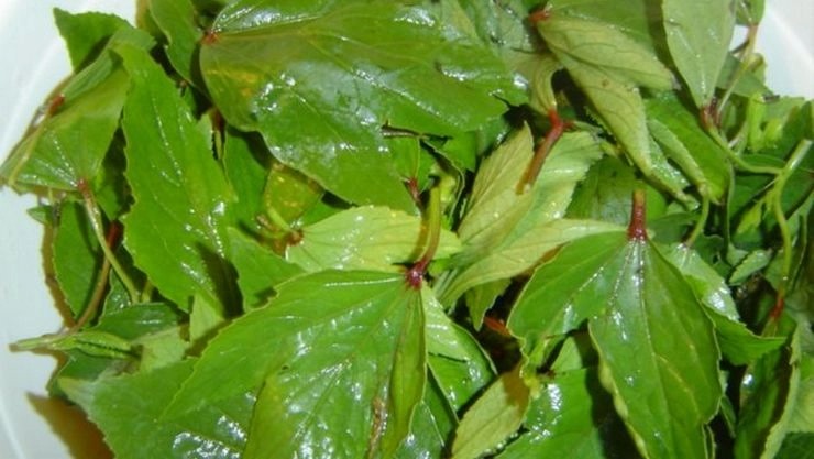 இந்த இட்லி பொடி செஞ்சு சாப்பிடுங்க....  இனிமே சட்னி, சாம்பாரை தேடவே மாட்டீங்க!