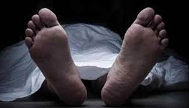 மரங்கள் சரிந்து விழுந்து தொழிலாளி பலி…