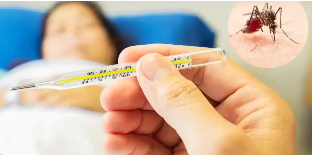 ஆவடியில் டெங்கு காய்ச்சல் விழிப்புணர்வு, தடுப்பு பணிகள் - ஆணையர் கந்தசாமி பேட்டி