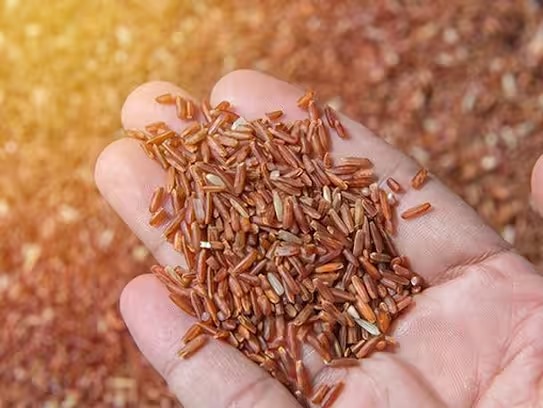 ஆண்கள் கண்டிப்பாக இந்த அரிசியை சாப்பிட வேண்டுமாம்!