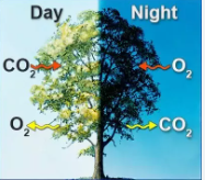 அறிவு செய்த மாற்றம் - என்.கே.மூர்த்தி