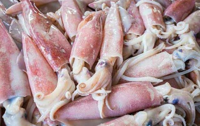 கணவாய் மீன்களில் ஒளிந்திருக்கும் அற்புத பயன்கள்!