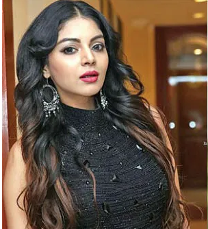  பெண் நடிகர்கள் பாலியல் சீண்டல்களும் அட்ஜெஸ்மெண்ட்களும் செய்ய வேண்டும்: நடிகை சனம் ஷெட்டி குற்றசாட்டு