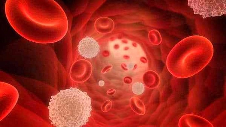 இரத்த வெள்ளை அணுக்களை அதிகப்படுத்த நீங்கள் செய்ய வேண்டியவை!