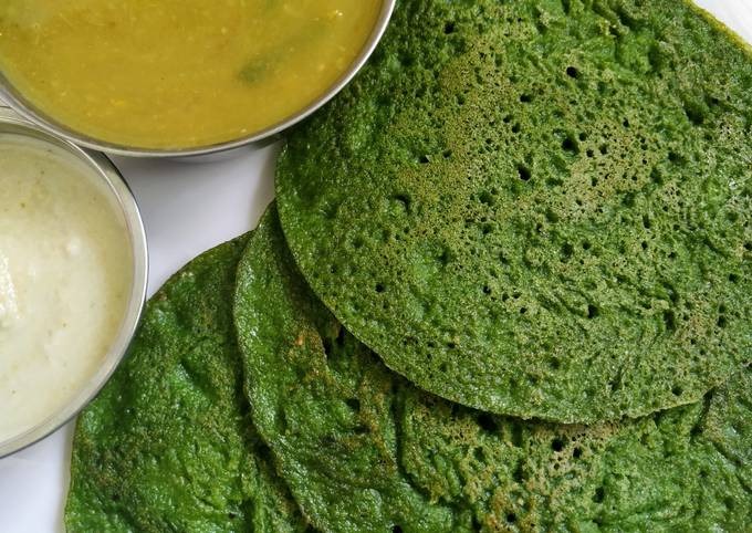 மருத்துவ பயன்கள் கொண்ட முடக்கத்தான் கீரை.... எதற்கெல்லாம் பயன்படுகிறது?