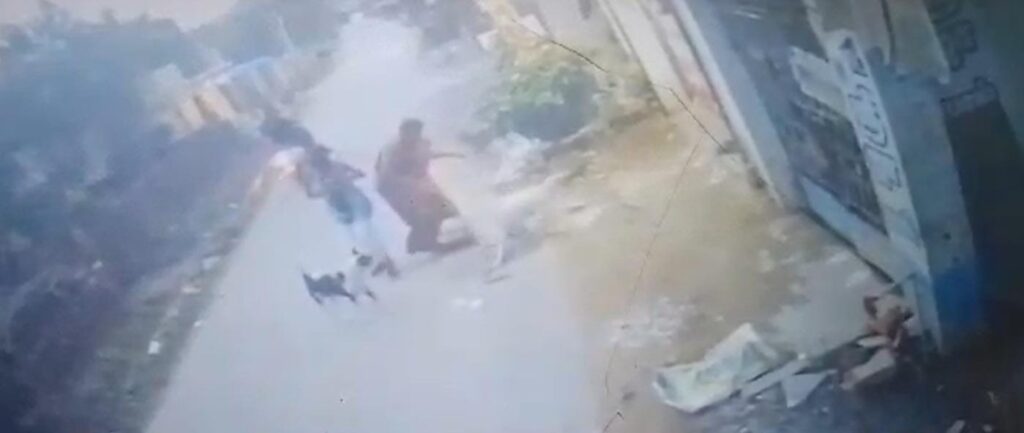  அயப்பாக்கத்தில் வளர்ப்பு நாய் கடித்து சிறுமி காயம்