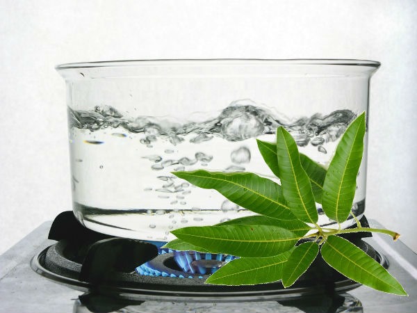 சர்க்கரை வியாதிக்கு தீர்வு தரும் மாங்கொழுந்து!