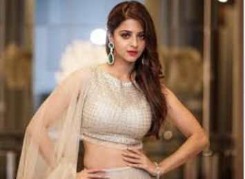 “இது கொடூரம் இதை நிறுத்துங்கள்” - ரசிகர்கள் செயலுக்கு வேதிகா காட்டம்