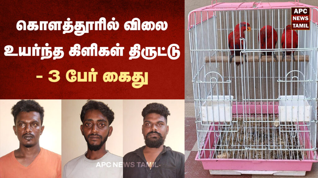 கொளத்தூரில் விலை உயர்ந்த கிளிகள்  திருட்டு - 3 பேர் கைது