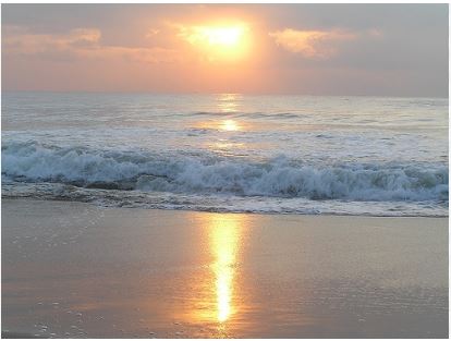 ராட்சத அலையில் சிக்கி கல்லூரி மாணவன் மாயம்