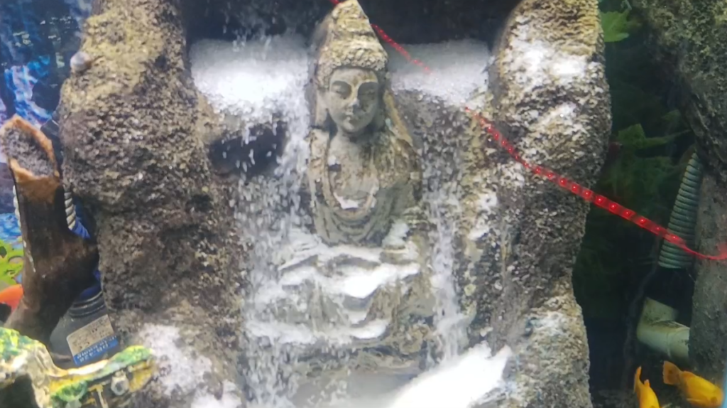 சென்னையில் கொலு கண்காட்சியை கண்டு ரசித்த சின்னத்திரை நடிகை சுமதி ஸ்ரீ