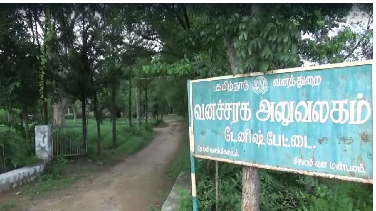 சேலம் அருகே வனப்பகுதியில் எறும்புத்தின்னியை விற்க முயற்சி – 6 பேர் கைது