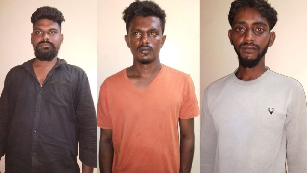 கொளத்தூரில் விலை உயர்ந்த கிளிகள்  திருட்டு - 3 பேர் கைது