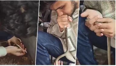 இறந்துபோன பாம்புக்கு மூச்சுக்காற்று கொடுத்து (CPR) காப்பாற்றிய இளைஞர்