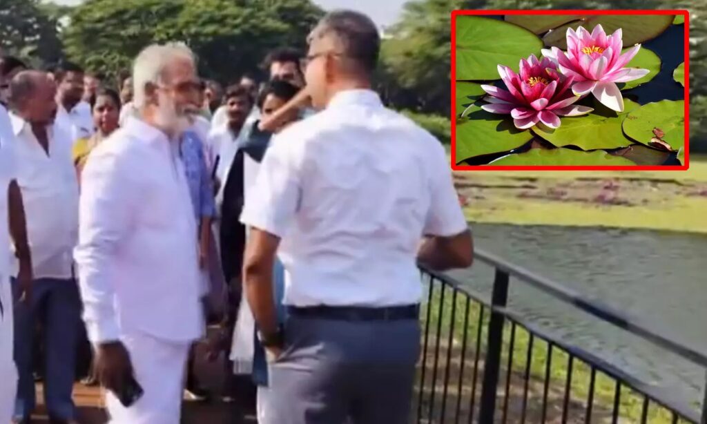 அண்ணன் சேகர் பாபு அவர்கள் ...குளத்தில் தாமரை மலர்வதைக் கண்டு  அலறுகிறீர்களே ! - தமிழிசை சௌந்தரராஜன் 