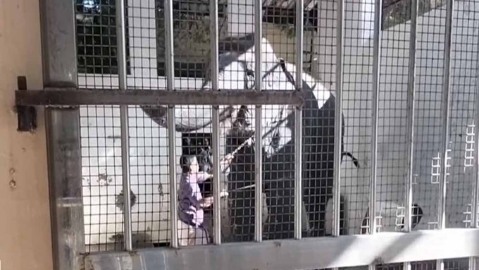 பாகன் உள்பட 2 பேரை கொன்ற யானை.. திருச்செந்தூரில் பரபரப்பு..!!