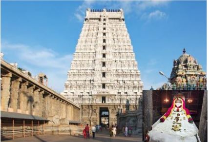 அண்ணாமலையார் கோயிலில் நவம்பர் 14-ல் பிற்பகல் தரிசணம் ரத்து