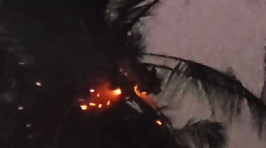 ஆந்திராவில்  பட்டாசு ஆலையில் தீ விபத்து - இருவர் உயிரிழப்பு