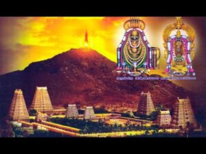 அர்ச்சகர் நியமன வழக்கின் தீர்ப்பு நியாயத்தின் பக்கம் இருக்கும் - அமைச்சர் சேகர்பாபு