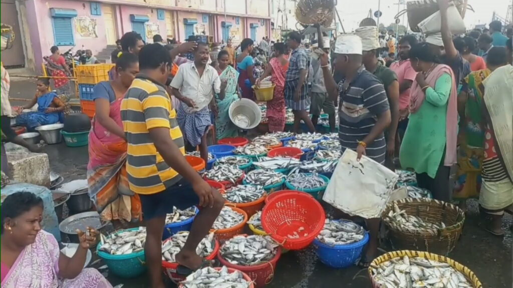 கார்த்திகை மாத பிறப்பையொட்டி, காசிமேட்டில் மீன்கள் விலை வீழ்ச்சி..