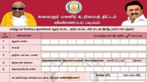 இந்தியாவிலேயே பெண்களுக்குப் பாதுகாபான மாநிலம் தமிழ்நாடு - அமைச்சர் கீதாஜீவன்
