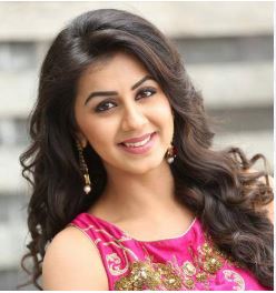 தயவுசெய்து மாடுகளை சாலையில் விடாதீர்கள் -  நடிகை நிக்கி கல்ராணி 