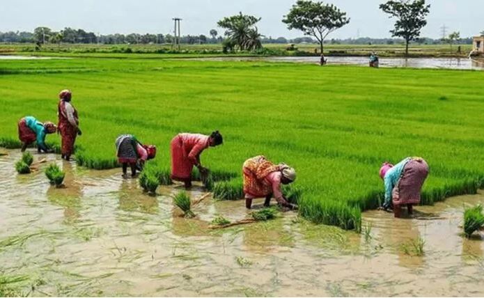 அறிவு செய்த மாற்றம்