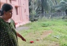 கொடுத்த கடனை கேட்க வந்தவரிடம் நாயை ஏவிய பெண் !