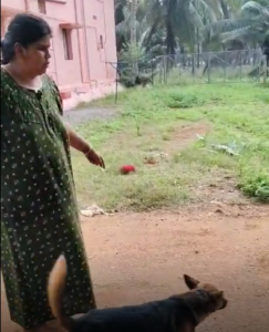 கொடுத்த கடனை கேட்க வந்தவரிடம் நாயை ஏவிய பெண் !