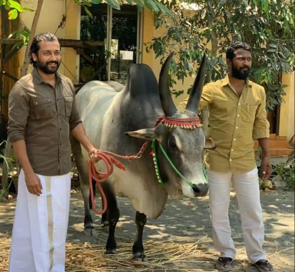 அகிலம் ஆராதிக்க 'வாடிவாசல்' திறக்கிறது.... அதிகாரப்பூர்வ அறிவிப்பை வெளியிட்ட தயாரிப்பாளர்!