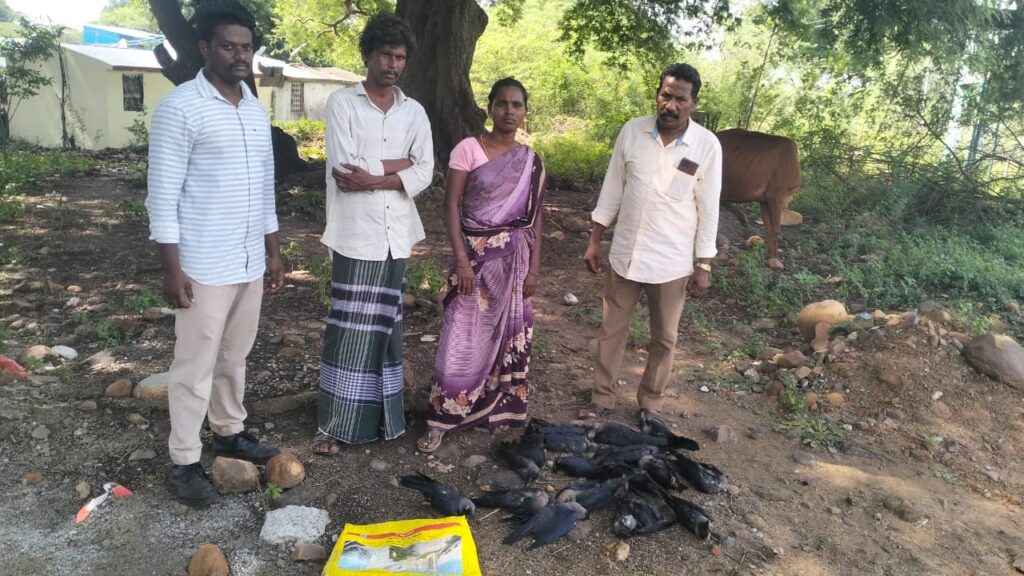 காகங்களுக்கு விஷம் வைத்து கொன்ற தம்பதியிடம் வனத்துறையினர் விசாரணை...!