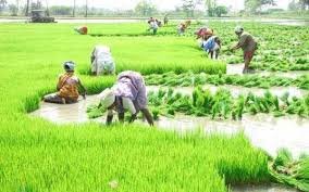 உழவர்களின் கோரிக்கைகளை நிறைவேற்ற வேண்டும்: அடக்குமுறைகளை கட்டவிழ்க்கக் கூடாது! – ராமதாஸ் அறிக்கை