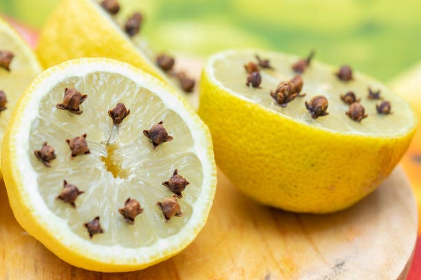 மழைக்காலத்தில் பயன்படும் மருத்துவ குறிப்புகள்!