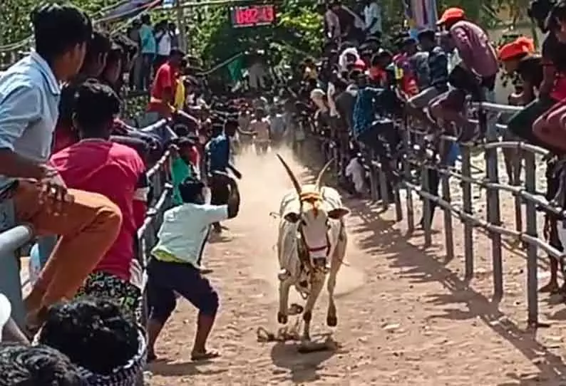 எல்லா காலங்களிலும் அதிமேதாவிகள் இருக்கத்தான் செய்கின்றனர் - அமைச்சர் துரைமுருகன்