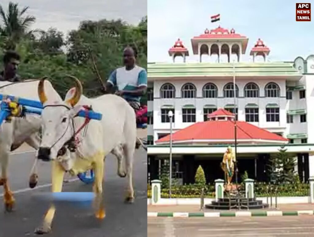 புதுக்கோட்டையில் ஜெயலலிதா பிறந்த நாளை முன்னிட்டு மாட்டு வண்டி பந்தயம் நடத்த அனுமதி கோரி மனு தாக்கல்