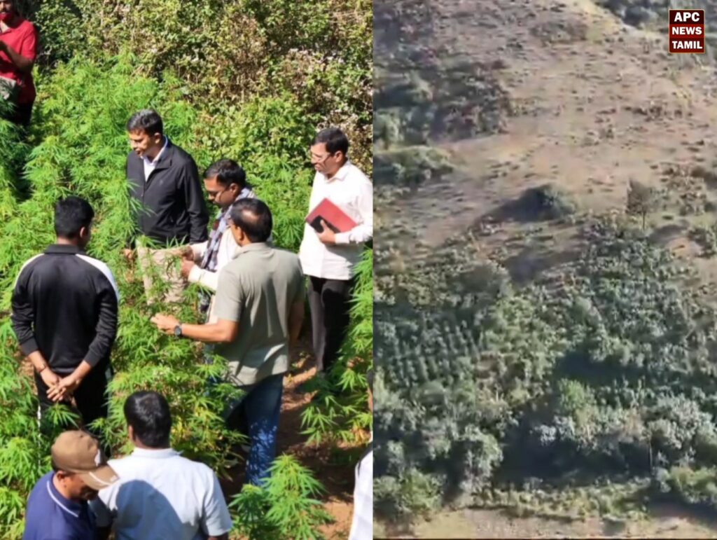 ஆந்திராவில் ட்ரோன் மூலம் வனப்பகுதியை கண்டறிந்து கஞ்சா தோட்டத்துக்கு  தீ வைப்பு - கருடா தனிப்படை
