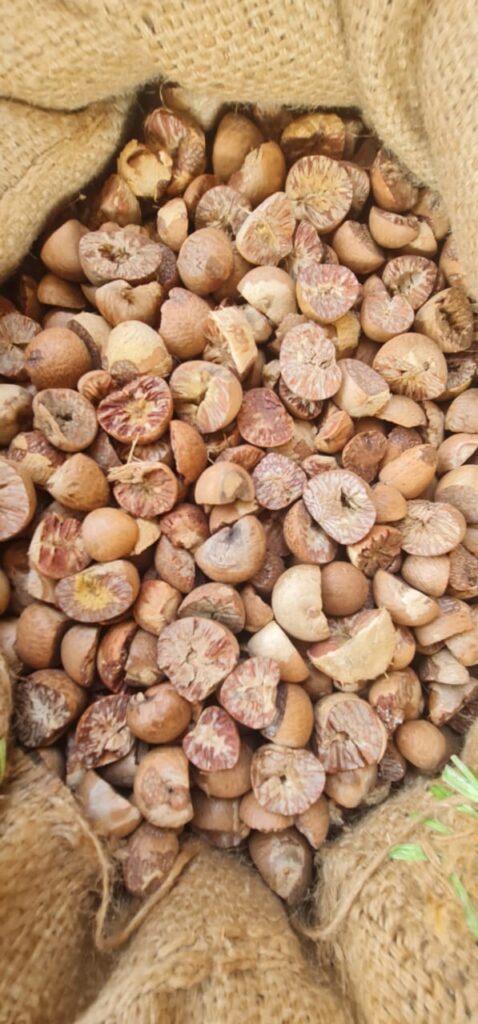 கூலிங் சீட் என்ற பெயரில் 1 ½ கோடி மதிப்புடைய கொட்டைப்பாக்கு கடத்தல்!