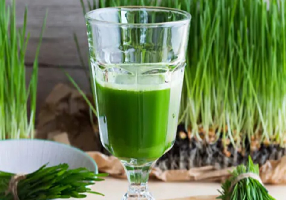 கல்லீரலின் ஆரோக்கியத்தை மேம்படுத்தும் கோதுமை புல் சாறு!
