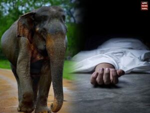 கடைக்கு சென்ற இளைஞர்... காட்டு யானை தாக்கி சம்பவ இடத்திலேயே பலி!