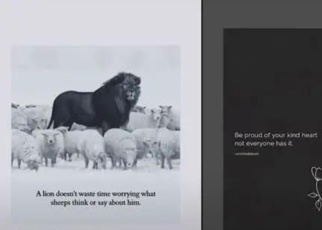 'மூக்குத்தி அம்மன் 2' பட பூஜையில் நயன்தாரா நடந்து கொண்ட விதம்.... பதிலடி கொடுத்த மீனா!