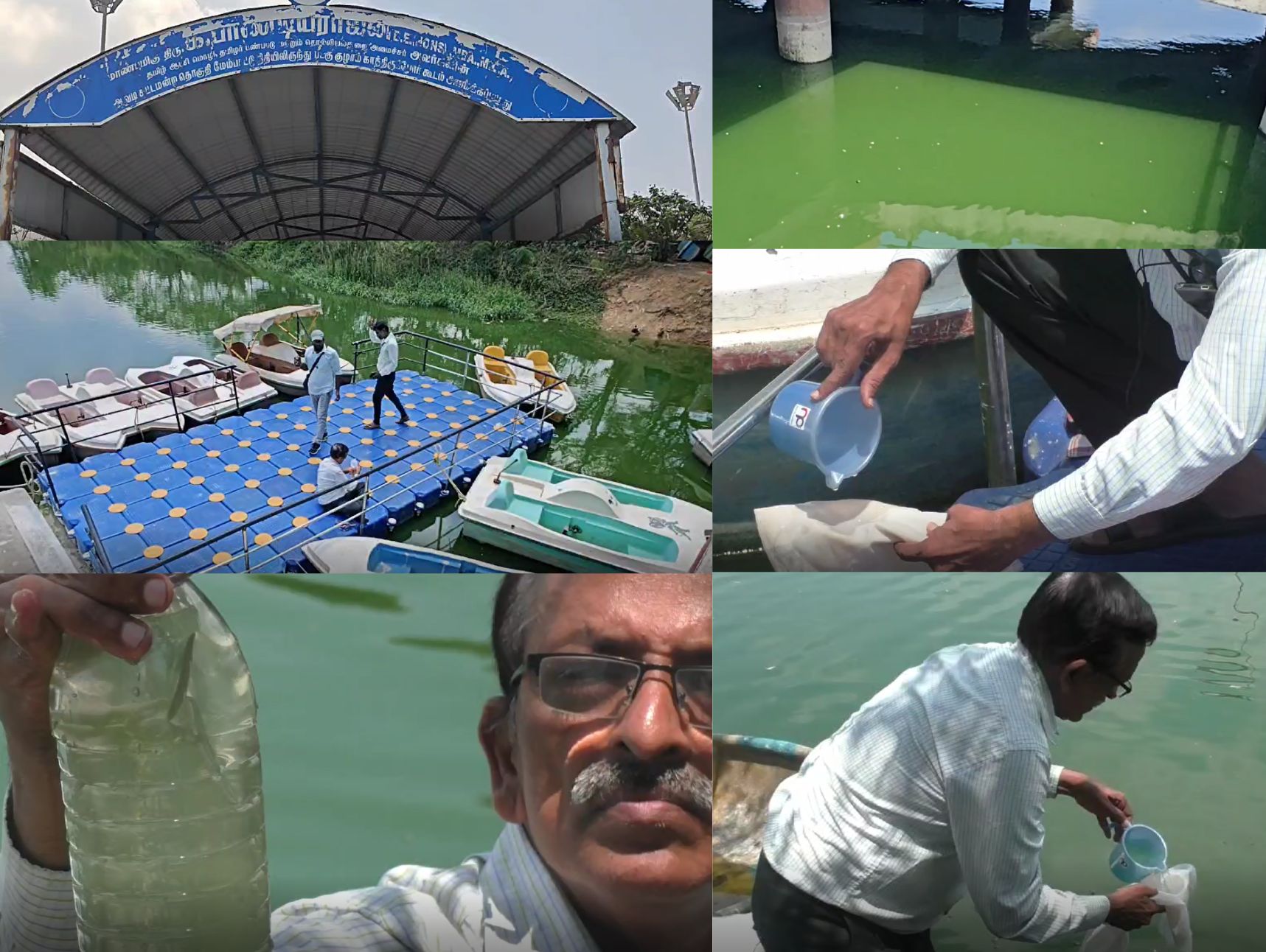 பருத்திப்பட்டு ஏரியில் மீன் இறப்பு விவகாரம் - சென்னை பல்கலை., வல்லுனர்கள் குழு ஆய்வு