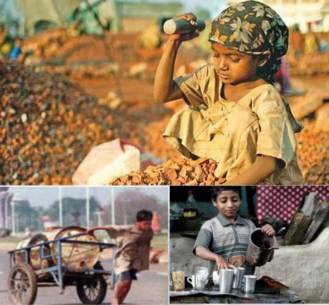 தேசியக் கல்விக் கொள்கை - புனையப்படும் பொய்களும், புரிய வேண்டிய உண்மைகளும்! -பேராசிரியர் லெ.ஜவகர் நேசன்