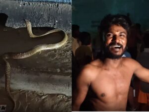 நல்ல பாம்பை கையில் எடுத்து சுழற்றிய போதை ஆசாமி - அலறியடித்து ஓட்டம் பிடித்த மக்கள்