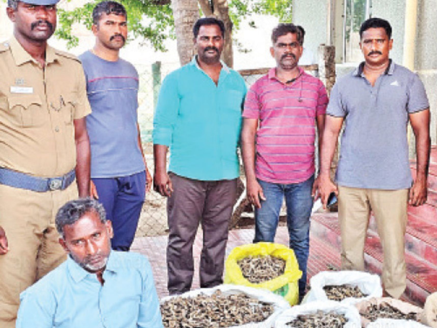 50 கிலோ கடல் குதிரைகள் பறிமுதல்! வாலிபா் கைது