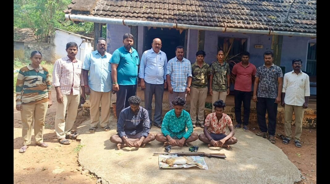 முயல் வேட்டையில் ஈடுபட்ட மூன்று பேர் கைது… துப்பாக்கி மற்றும் முயல் இறைச்சி பறிமுதல்!