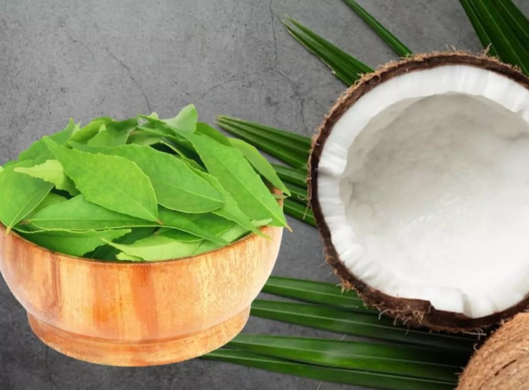 தலைமுடி உதிர்வு முதல் ஒழுங்கற்ற மாதவிடாய்.... அனைத்து பிரச்சனைகளுக்கும் ஒரே தீர்வு!