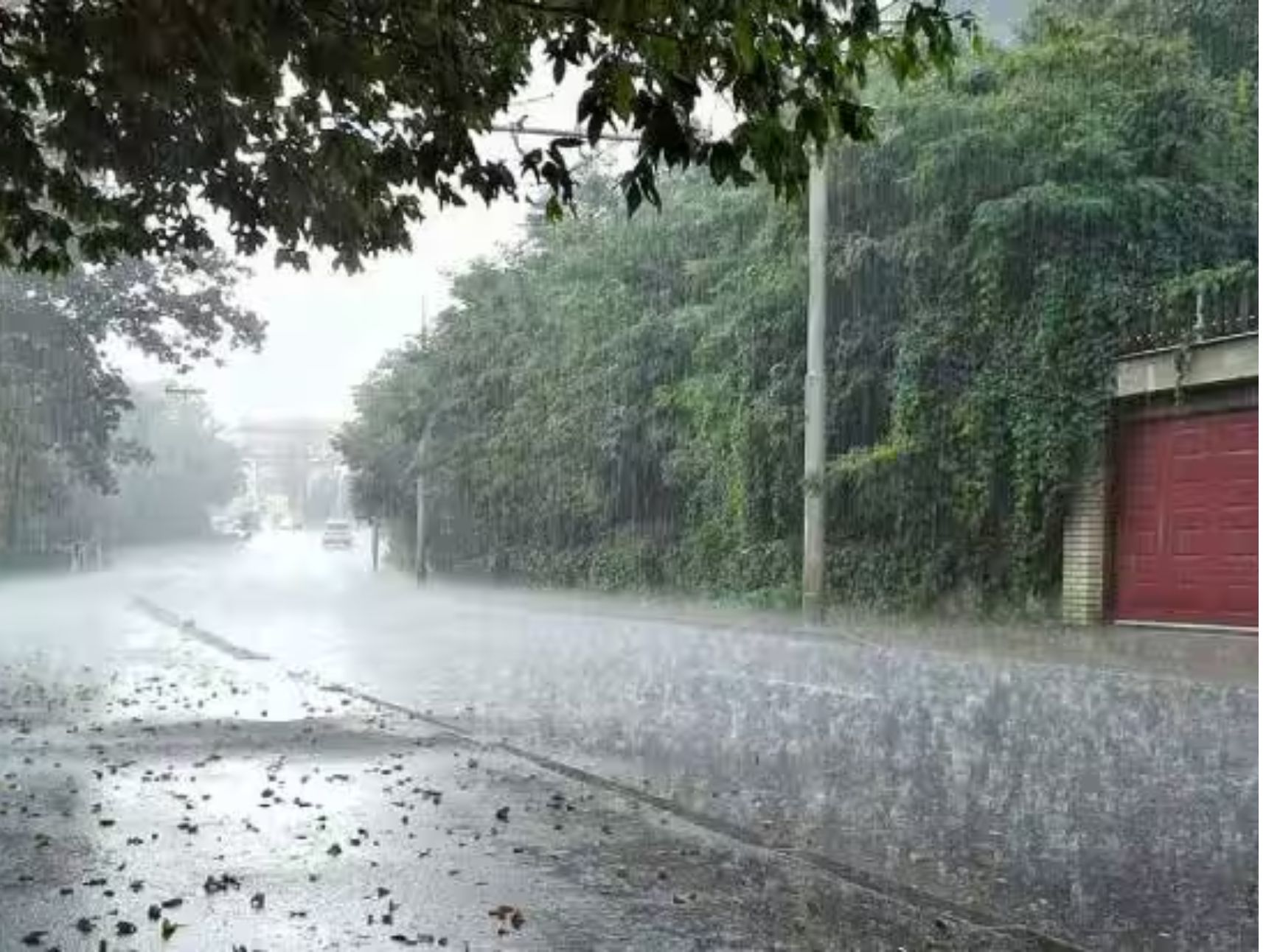 பலத்த காற்றுடன் மழைக்கு வாய்ப்பு - வானிலை ஆய்வு மையம்