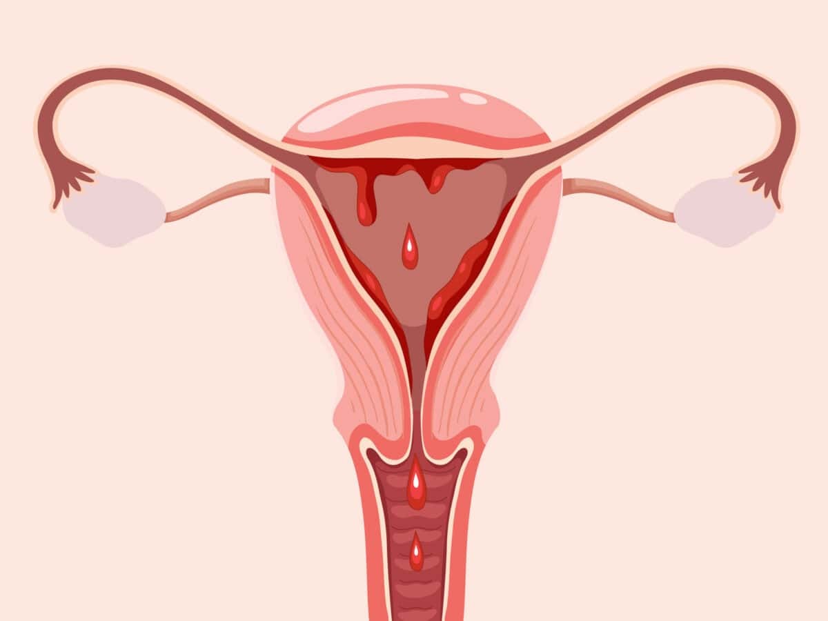 ஸ்வீட் கார்னில் மறைந்திருக்கும் அதிசய குணங்கள்!